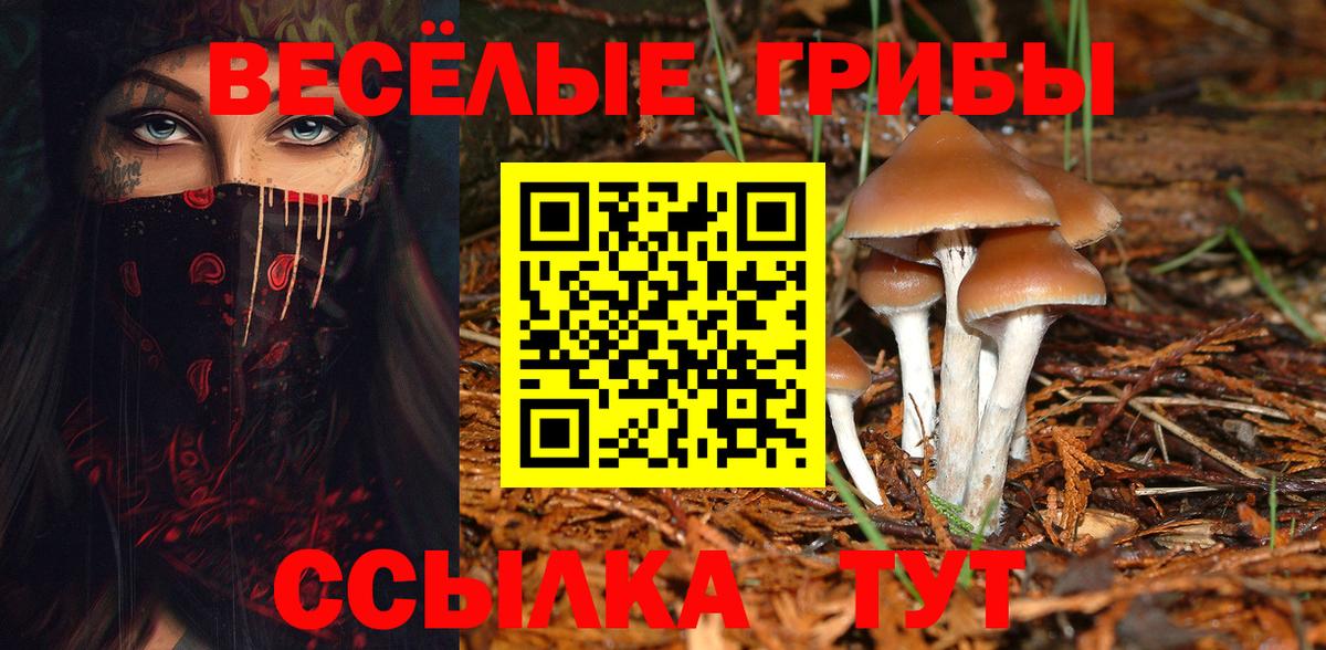 магазин продажи наркотиков  Псилоцибиновые грибы мухоморы  Вход с VPN  Павловский Посад 